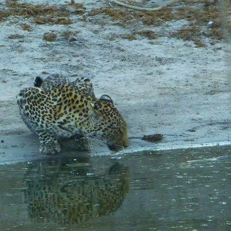Готель Camp Savuti Екстер'єр фото